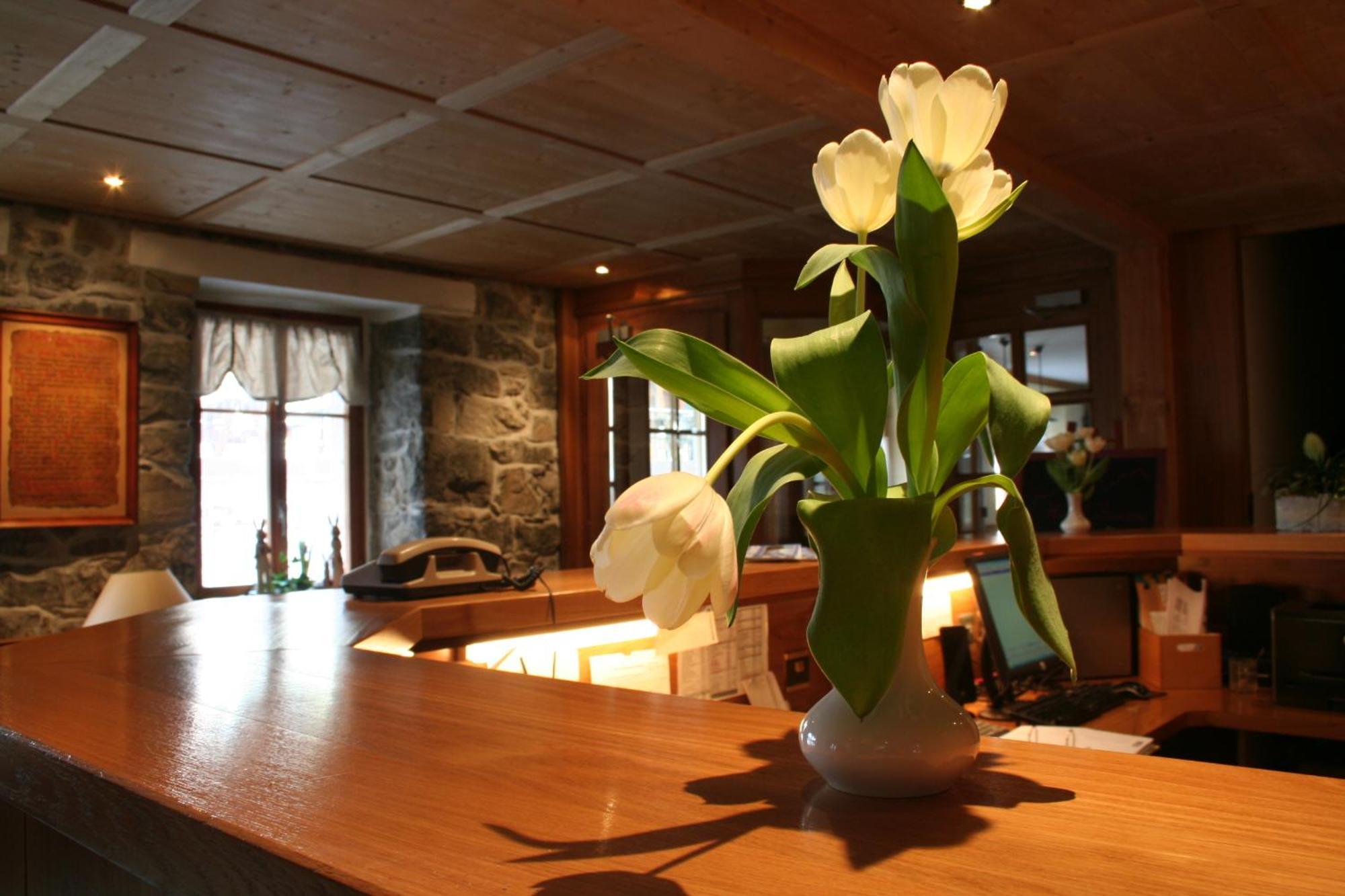 Hotel Suisse Champéry Zewnętrze zdjęcie
